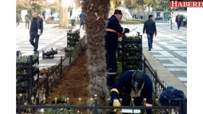 Kışın Çiçek Açaçak !