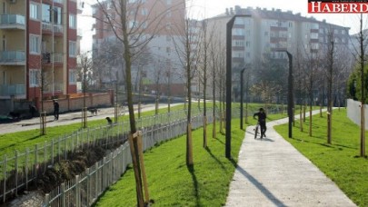 Atmaca Vadisi artık yemyeşil