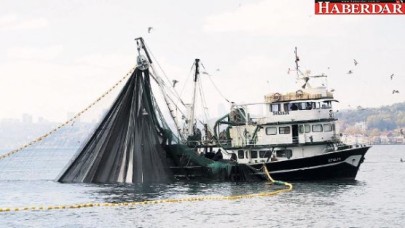 ‘Marmara için acil harekete geçilmeli’