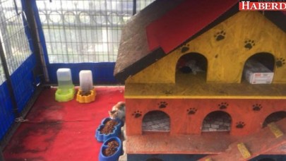 Avcılar sevimli dostlarımızı unutmuyor