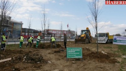 Büyükçekmece Belediyesi, işgal edilen alanları ağaçlandırıyor