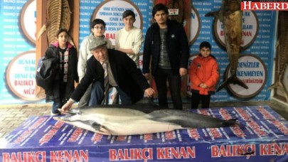 Karaya vuran Yunus mumyalanacak