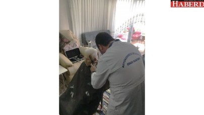 Küçük ama anlamlı hizmet