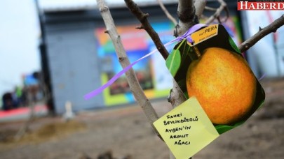 Hobi bahçeniz olsun istiyorsanız..