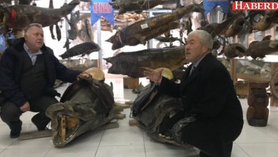 Ünlü cerrahtan Türkiye Deniz Canlıları Müzesi için önemli çağrı