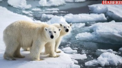 Kutup 25 derece ısındı Avrupa dondu