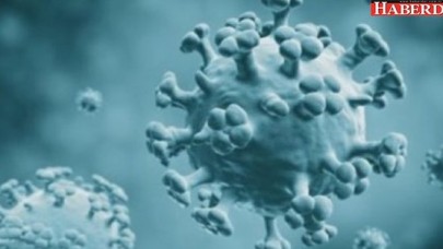 Yeni salgın! 300 milyon kişi ölebilir