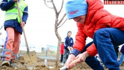 Hobi bahçeleri gönüllülerine kavuşuyor