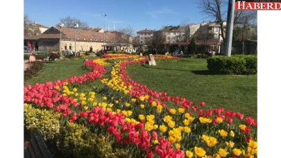 Büyükçekmece laleler ile çok daha renkli