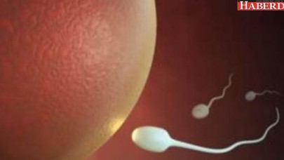 9 çocuğu olan adam doğuştan kısır olduğunu öğrenince...