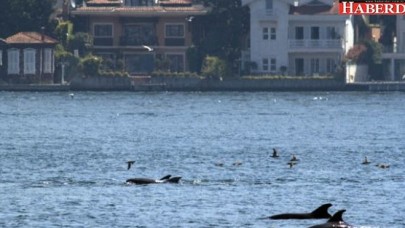İstanbul Boğazı’nda şoke eden görüntü!