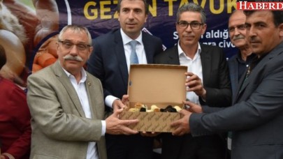 Getir Yumurtanı Götür Civcivini Projesi’nin ilk yavruları vatandaşla buluştu