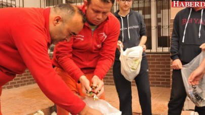 BEYLİKDÜZÜ’NDE 3 BİN 225 KİLO ATIK PİL TOPLANDI