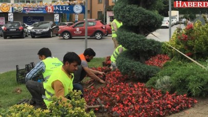 Büyükçekmece çiçek bahçesi gibi