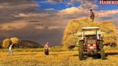 Döviz kuru tarımı vurdu