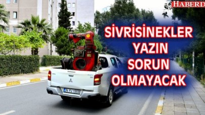 SİVRİSİNEKLER YAZIN SORUN OLMAYACAK