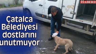 Çatalca Belediyesi dostlarını unutmuyor...