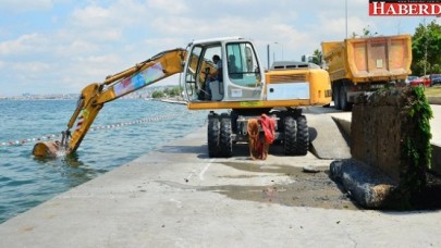 Beylikdüzünde deniz kıyısı temizlendi