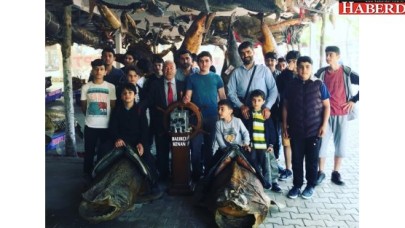 TAVUZ KUŞU VE KÖPEKBALIĞI BİR ARADA