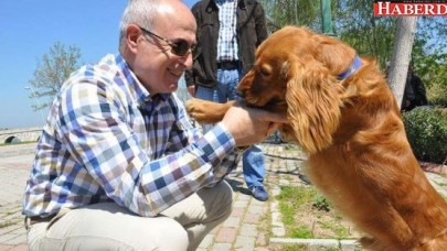 Akgün: Hiçbir sokak hayvanı aç ve susuz kalmayacak