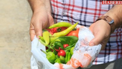 BU SEBZE MEYVELER PAZARDAN DEĞİL, DALINDAN