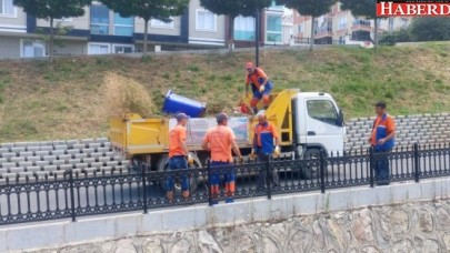 Başkan Cem Kara ile Temiz Çevre,  Sağlıklı Yaşam!