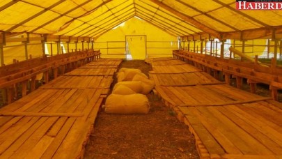 Büyükçekmece’nin modern kurban kesim tesisi bayrama hazır