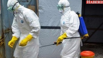 10 soruda şarbon salgını