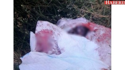 Çöp Kenarında Yeni Doğmuş Bebek Cesedi Bulundu