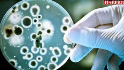 Korkutan keşif: Tedavisi yok