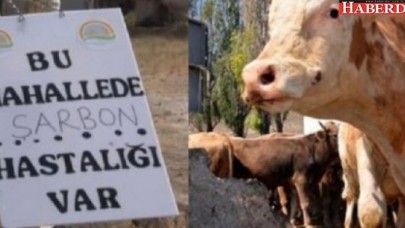 Valilik yok dedi! 50 kişi gözetime alındı...