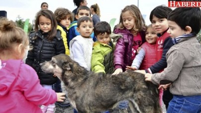 Beylikdüzünde çocuklar can dostlarıyla buluştu