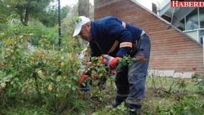 PAŞAELİ KENT PARKI YENİLENDİ