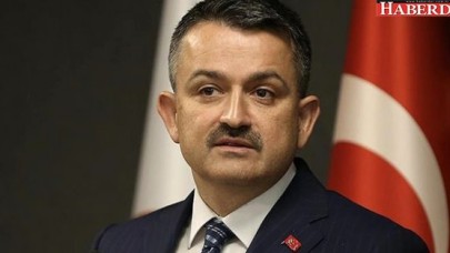 Tarım Bakanından Üreticiye Müjde! Destek Ödemeleri Bugün Başlıyor