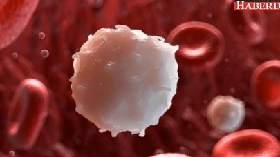 Löseminin tedavi şansı yüzde 80