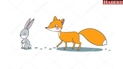 Tavşan adaylara dikkat