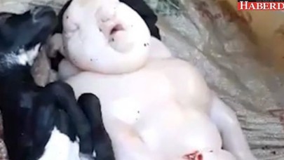 Keçiden yarı insan, yarı domuz doğdu