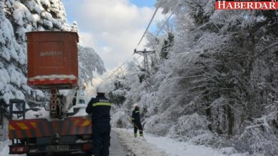 Bedaş, Kesintisiz Enerji İçin Önlem Aldı