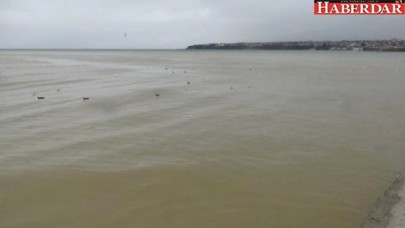 Silivride Marmara Denizi Kahverengi Oldu