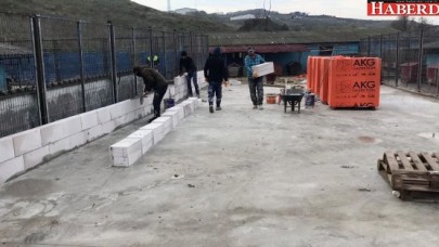 Barınaktaki köpekler için bahçeli sisteme geçiyor