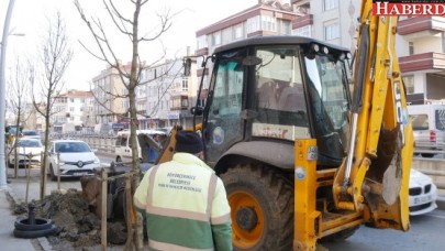 Büyükçekmece’de ağaçlandırma çalışmalarına hız verildi