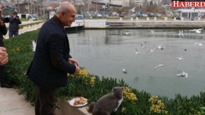 Büyükçekmece Belediyesi Sokak Hayvanların Bakım ve Tedavilerini Üstleniyor