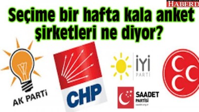 Seçime bir hafta kala anket  şirketleri ne diyor?