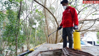 BEYLİKDÜZÜ’NDE YAZ SİVRİSİNEKSİZ GEÇECEK