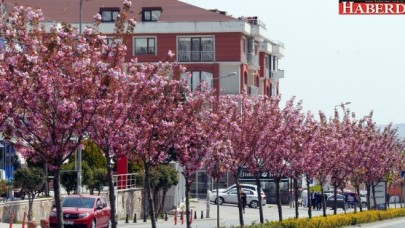 Büyükçekmece renklendi