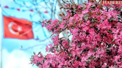 Bahar havası pazar gününe kadar devam edecek