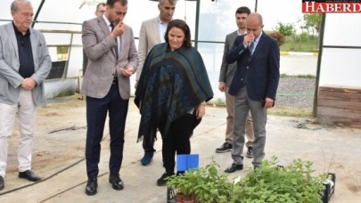 BAŞKAN YILMAZ TÜRAM’I İNCELEDİ