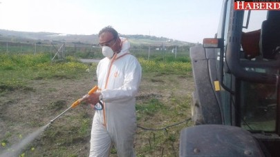 Büyükçekmece’de ilaçlama ve bakım çalışmaları yapılıyor