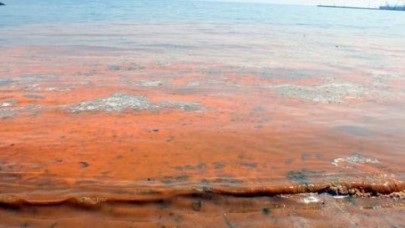 Büyükçekmecede deniz pembeye döndü