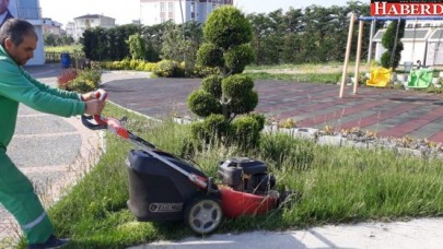Büyükçekmece’nin yeşili koruma altında
